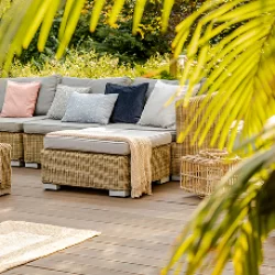 home-2-5-150x150.webp_1